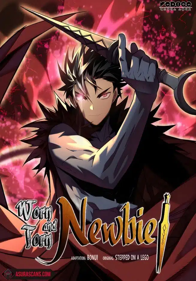 Worn and Torn Newbie Worn and Torn Newbie